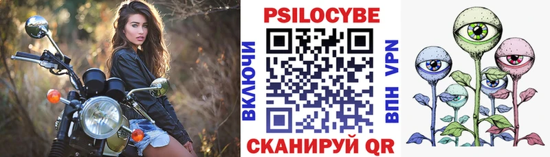 дарнет шоп  Нерчинск  Галлюциногенные грибы мухоморы 